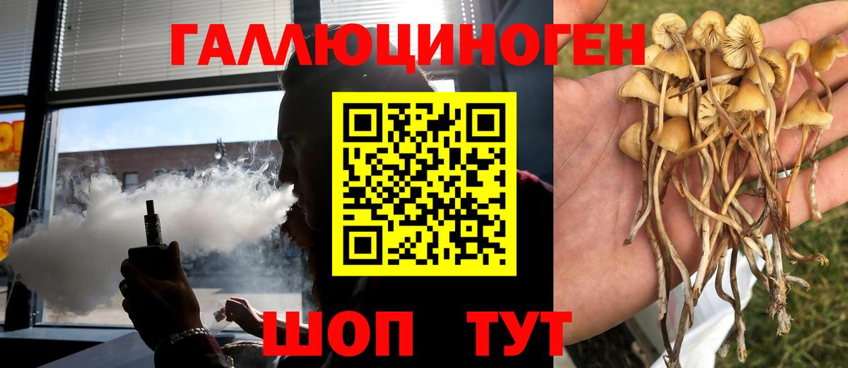 Галлюциногенные грибы мицелий Калининград